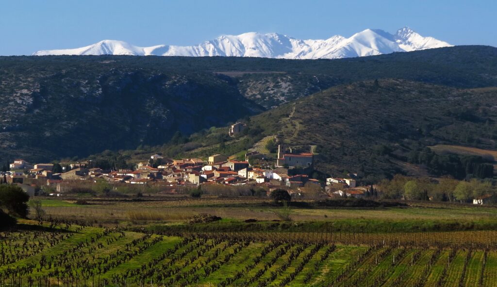 Paziols, de la vigne de la plaine au Canigou