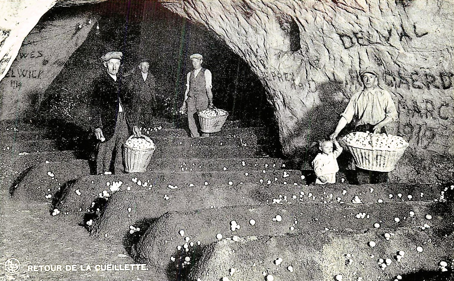 Folx-les-Caves. Des makralles, un bandit de grand chemin, des champignons… un monde souterrain.